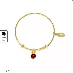 Kids January Birthstone Gold Bracelet